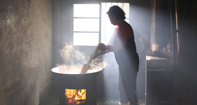 10 Ways To Use Nature's Purest Soap: The Soapberry – Tree To Tub