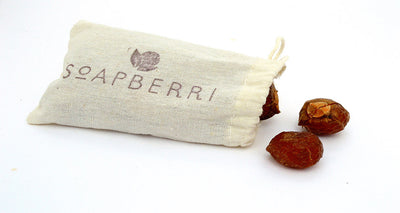 Tried Your Soapberry Yet? This Is How To Do It! – Tree To Tub