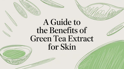 A Guide to the Benefits of Green Tea Extract for Skin