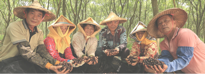 How are your Tree To Tub products made?