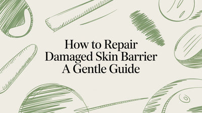 A Calm Guide on How to Repair a Damaged Skin Barrier