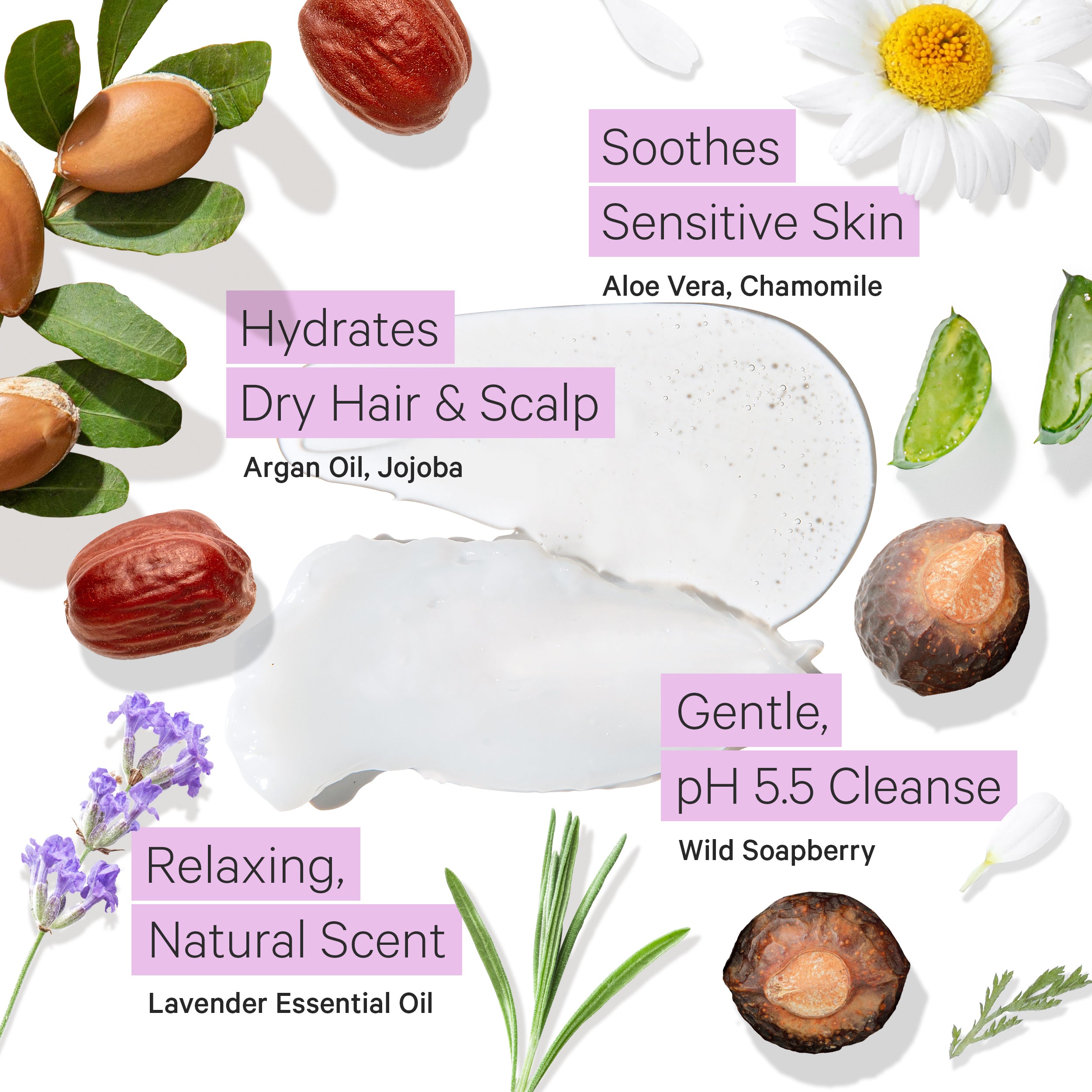 Lavender Shampoo and Conditioner for Sensitive Scalp – Tree To Tub