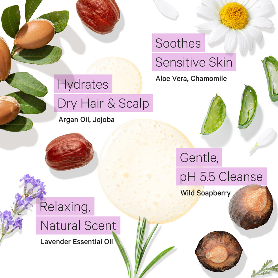 hair food tea tree & lavender water purifying shampoo Lavender Shampoo for Sensitive Scalp