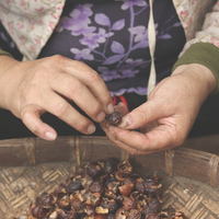 OUR FORMULA - our-formula.png