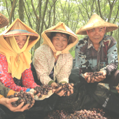 OUR STORY - our-story.png